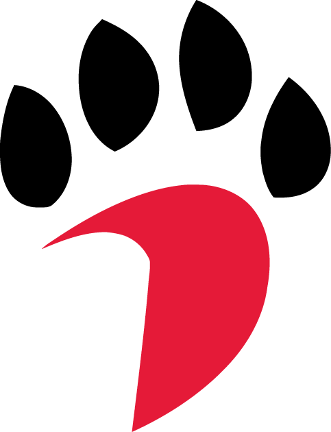 Davidson Wildcats 2010-Pres Alternate Logo v2 diy iron on heat transfer